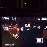 [EXO] ㅋㅋㅋㅋㅋㅋㅋ치킨야광봉