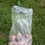 [EXO] 감자깎는 신박한 방법.<b>gif</b>