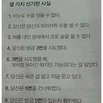 [<b>틴</b>펫스토리] 10가지 신기한 사실.jpg