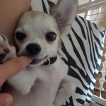 비비는 이갈이중~ 엄마손<b>냠냠</b>