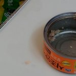 [이것좀봐줘] <b>참치</b> 이물질 한두번 이슈되는것도 아니고..