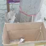 "필요한분 가져가세요 고양이..." 너무나 가슴아픈 아깽이들의...