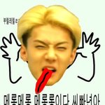 [EXO] 오구오구 엑소팬들아 들어<b>와바</b>