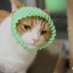 [유봉이네] 배껍데기 재활용