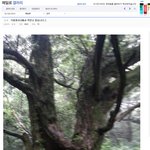 [콜로라도] 모 신인아이돌 그룹 팬들 <b>뒷목</b>잡게 만들 조공