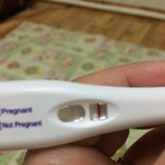 [댓글부탁] <b>테스트기</b> 봐주세요ㅠㅠ