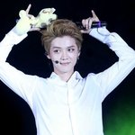 [EXO] 벽반 망했어?