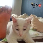 화장을 하다가....ㅋㅋㅋㅋㅋㅋㅋ;;;