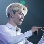 [EXO] 이거 ㄹㅇ핸드폰 <b>씨</b>엪