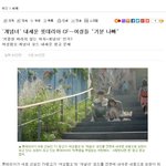 [콜로라도] <b>기자</b>가 부들부들.jpg