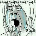 [EXO] 진짜 실물후기 그대로 적어줄게