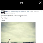 [EXO] 루한 인스타에 반응하는 엑소팬들.<b>jpg</b>