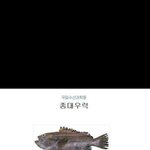 [EXO] 종대 울때ㅠㅠㅠ