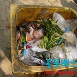 [공포베스트] 중국에서 흔히 버려지는 <b>아기들</b>
