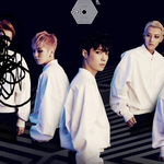 [EXO] <b>공홈</b>에 둘기 아직도있네 ㅅㅂ