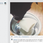 [EXO] 레이홈마 델씽 귀엽닼ㅋㅋㅋㅋㅋㅋㅋㅋㅋㅋㅋㅋㅋㅋㅋ