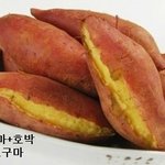 <b>케미</b> 돋는 교배 채소과일 모음