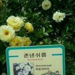 [EXO] 연예인<b>동창들</b>팬카페에서존나나대잖아