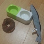 한살이된 두봉, 반려견의 생일 어떡게 보네시나요?