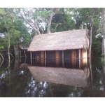 [남미여행박] 볼리비아 아마존>박우물과 남미여행 오창록기행문13