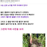 [틴펫스토리] 현재 아고라에서 제기하는 유병언 <b>사체</b> 조작설