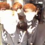 [EXO] 이거 <b>인형</b> 모아놓은거같지않냐