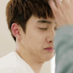 [EXO] 브아걸부르지