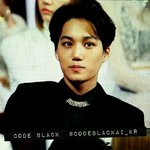 [EXO] 밑에 김종인 머리깐거