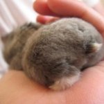 [EXO] 궁<b>댕이</b> 포동포동하징