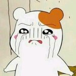 [EXO] 오늘<b>엠카</b>무편집본 애들꺼 어디서봄??