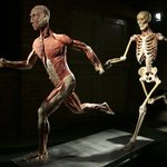 [공포베스트] 인체의 신비전의 <b>제물</b>이 되는 中 사형수들