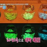 이거 진짜 신기하네요 <b>야광</b>장미
