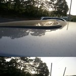 현대자동차 결함(교체&amp;환불)