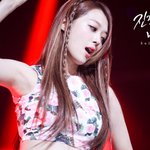 활동중단<b>선언</b>한 설리