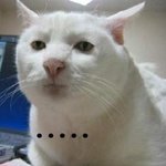 [EXO] 축구봄??박지성 <b>옐로</b>카드받음 ㅋㅋㅋ