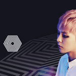 [EXO] 헐 이사진 나 <b>처음봄</b>