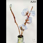 [EXO] 지금 설리카톡 프사..