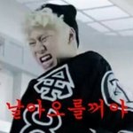 [블락비] 해<b>마야</b> 짤공유하자