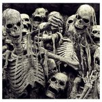 [EXO] 엑소도 죽고나면 <b>시신</b>이 백골화되서