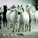 [EXO] 포돌이년 들어<b>와바</b>