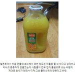 [추억의] 추억의 국민 <b>물병</b>