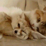 [EXO] <b>방학때</b>의 우리의 모습