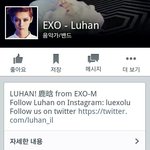 [EXO] 페북 좋아요 순위 봤냐?