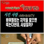 [콜로라도] 바퀴벌레를 쉽고 간단하게 <b>처치</b>하기