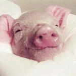 [EXO] 근데 오늘꺼 <b>룸메</b> 사건뒤임?사건후임?