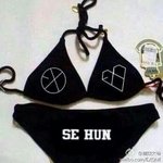 [EXO] 오세훈 <b>비키니</b>