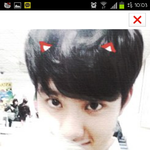 [EXO] 너네가 다 강아지를키우지만