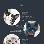 [<b>탄천</b>필근] 우다다닥 고양이 네마리 탄천필근