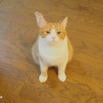 [유봉이네] 유봉이네 생일잔치