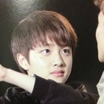 [EXO] <b>이틈</b>을타둘기가더낫다는년있네